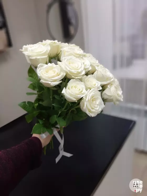 Роза белая 15